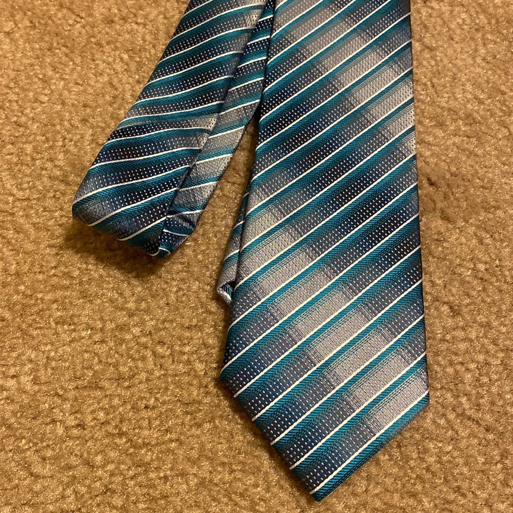 Bran New 100% Silk Tie